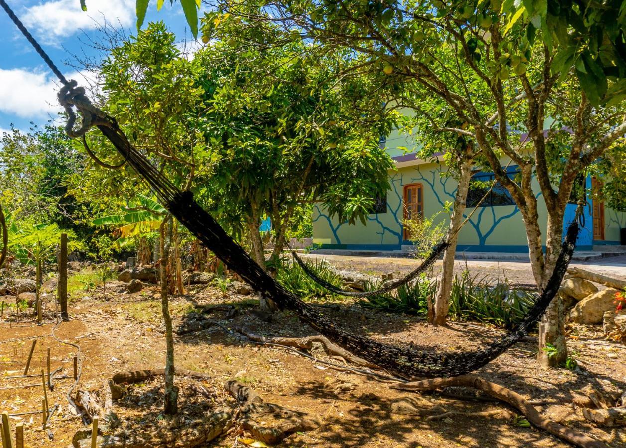 Cucuve Eco Hostal Puerto Baquerizo Moreno Luaran gambar